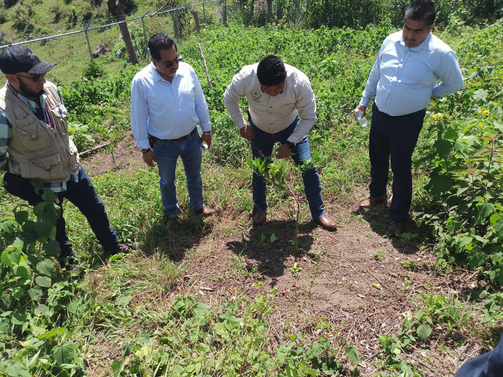 Taller de elaboracion jabon