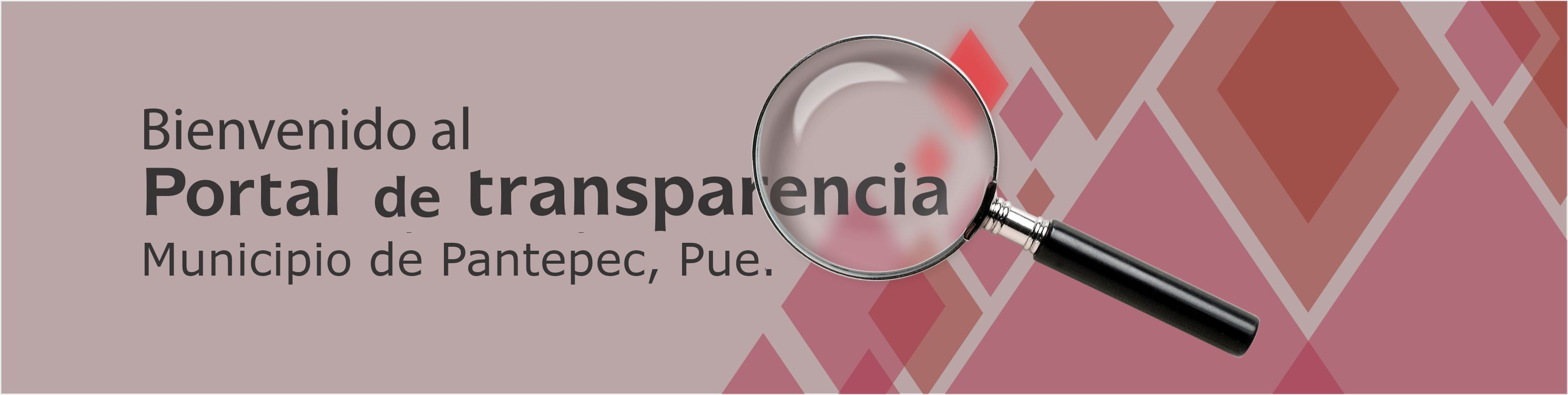 Presupuesto Ciudadano