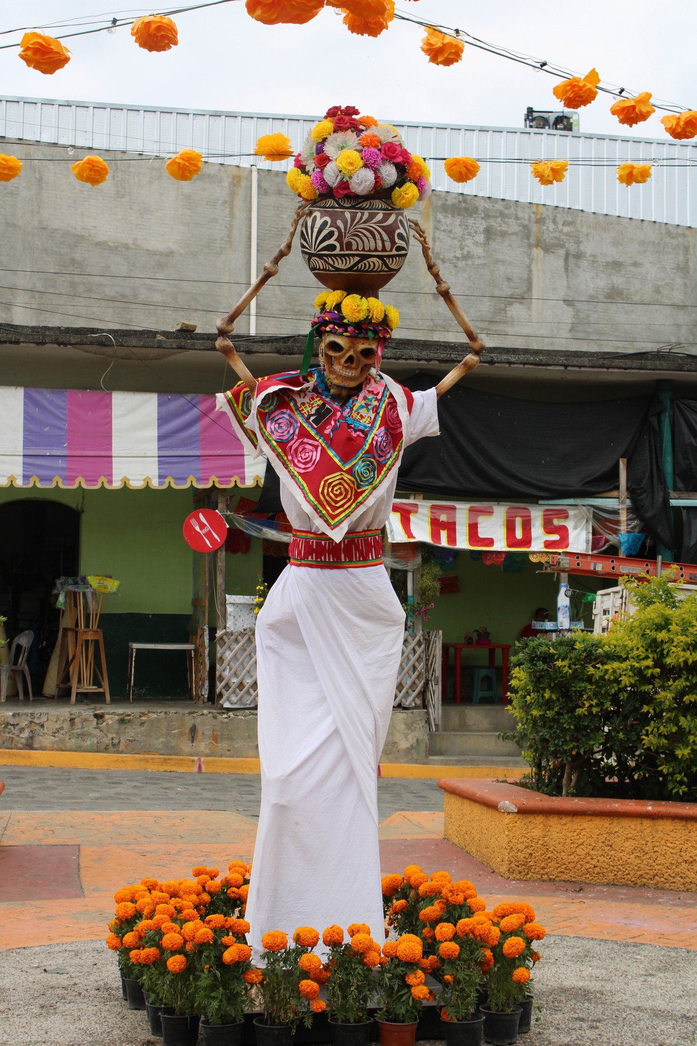 Galería Pantepec