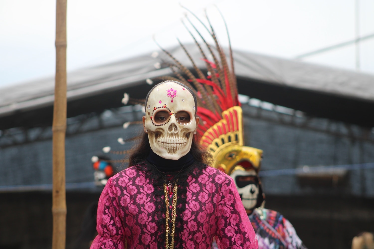 Galería Pantepec