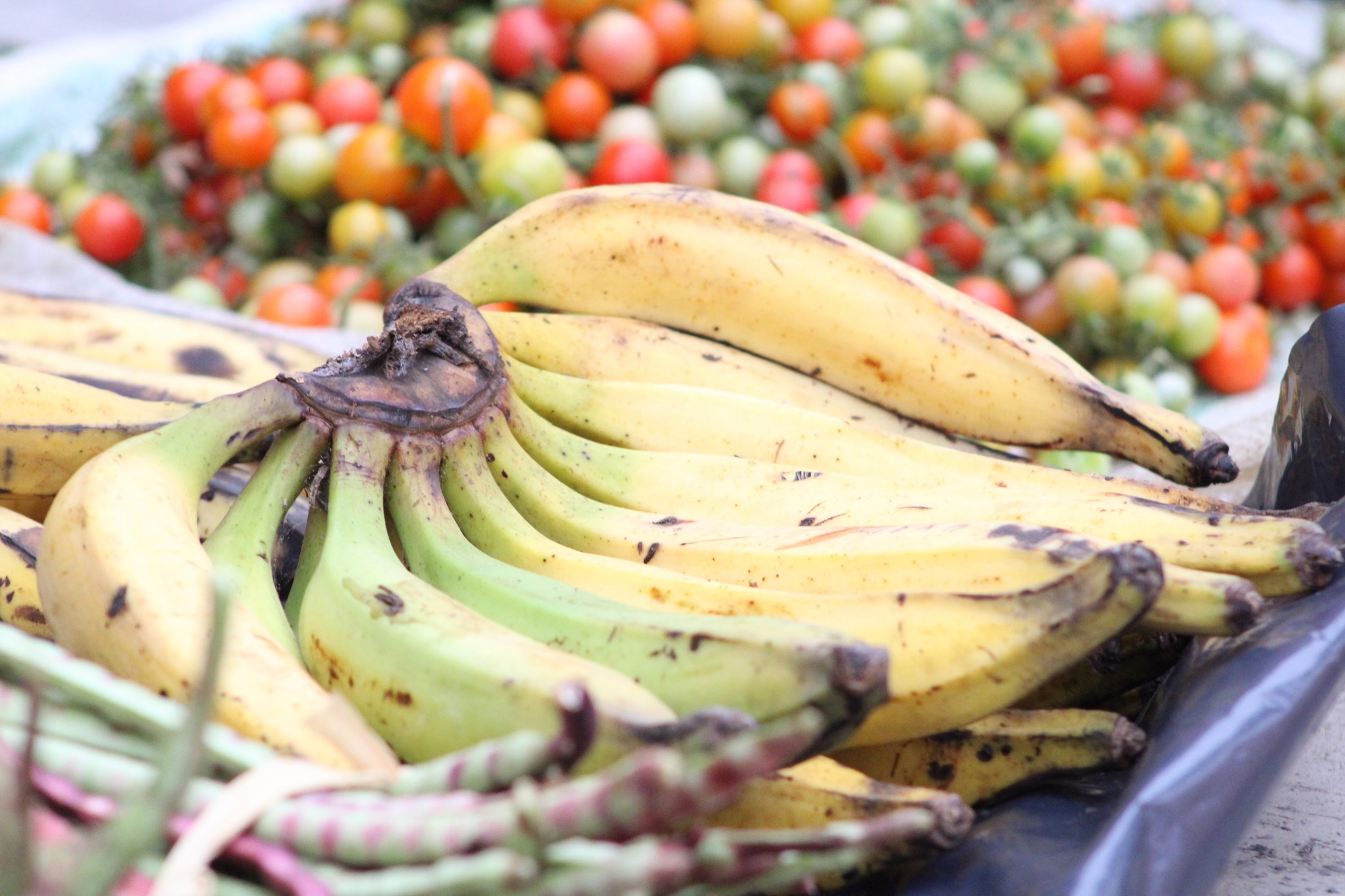 Taller de elaboracion jabon